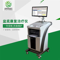 产后盆底康复治疗仪市场解析 厂家批发价格与贵州地区发展现状